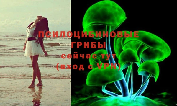 хмурый Навашино