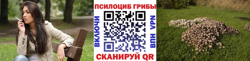 Псилоцибиновые грибы Psilocybine cubensis  как найти закладки  Ельня 
